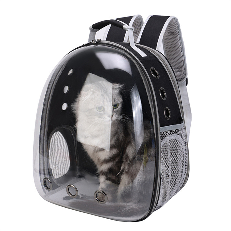 Outgoing Bag Expandable Cat Bag